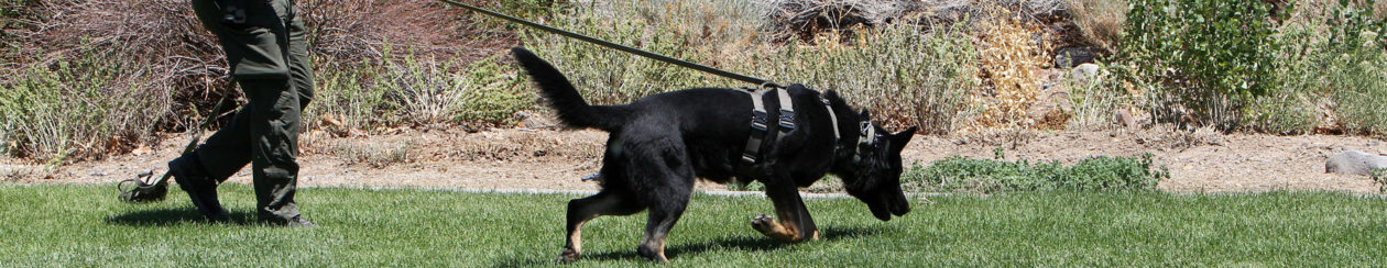 WASHOE COUNTY K9 PARTNERS